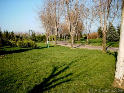 View of Botanical Park in Bursa city of Turkey. (The picture was taken by Artislamic.com in 2004.)