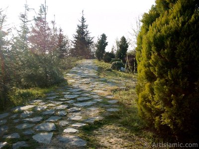 View of Botanical Park in Bursa city of Turkey. (The picture was taken by Artislamic.com in 2004.)