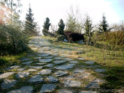 View of Botanical Park in Bursa city of Turkey. (The picture was taken by Artislamic.com in 2004.)