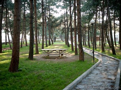 View of a park in Fethiye district in Bursa city of Turkey. (The picture was taken by Artislamic.com in 2004.)
