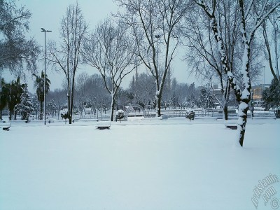 Special winter and snow photos taken on 19.Februrary.2015 morning in eight districts of Istanbul city of Turkey. The names of the districts are: Fatih, Zeyrek, Persembe Pazari, Eminonu, Karakoy, Cihangir, Findikli, Kabatas. (Detailed information about this photo will be added later.) (The picture was taken by Artislamic.com in 2015.)