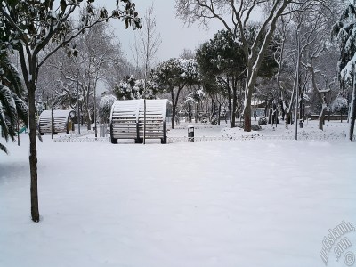 Special winter and snow photos taken on 19.Februrary.2015 morning in eight districts of Istanbul city of Turkey. The names of the districts are: Fatih, Zeyrek, Persembe Pazari, Eminonu, Karakoy, Cihangir, Findikli, Kabatas. (Detailed information about this photo will be added later.) (The picture was taken by Artislamic.com in 2015.)