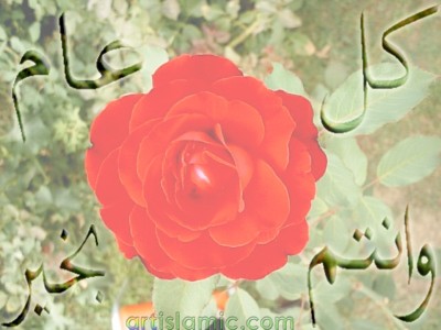 An e-card image designed by artislamic.com on the occasion of the Eid.