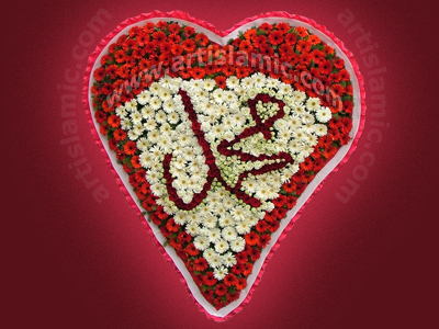 A graphic design made by Artislamic.com on the occasion of the birthday of the Prophet Mohammad (saaw). (The flower arrangement was made in Turkey using gerbera daisy, carnation and rose flowers. In Turkish Islamic Literature and Arts, the rose represents Prophet Mohammad and it is symbol of Him. That`s why, in the arrangement the name of MOHAMMAD was written using red roses. The flower arranger is not known.)