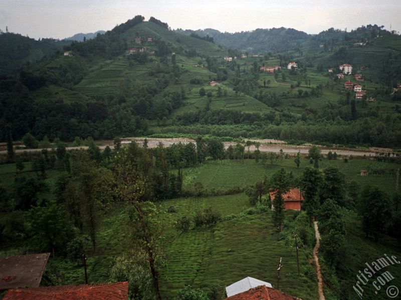 Trabzon`a bal Of ilemizden bir ky manzaras.
