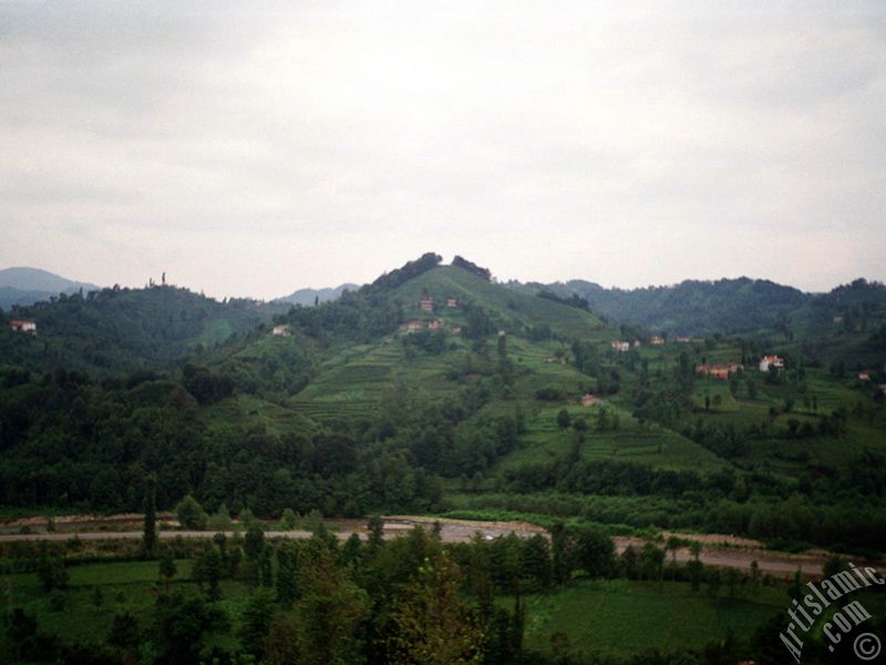 Trabzon`a bal Of ilemizden bir ky manzaras.
