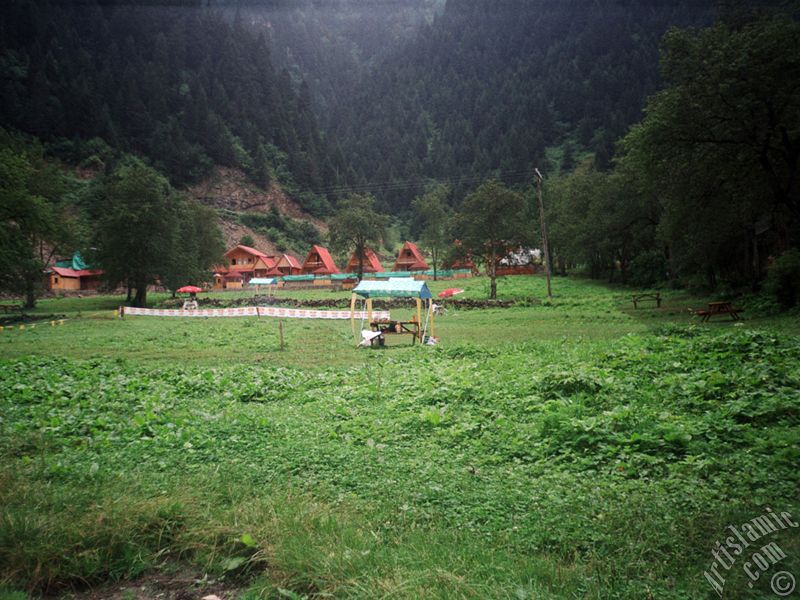 Trabzon Uzungl Yaylas`ndan bir manzara.
