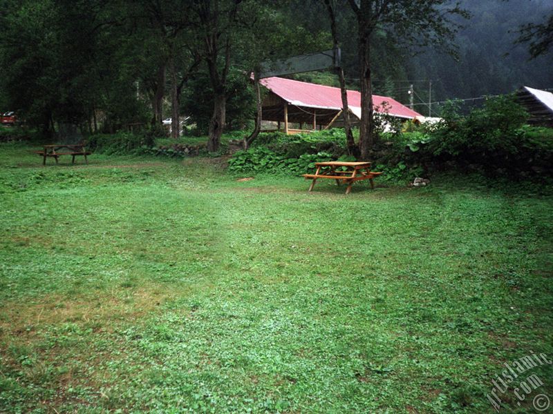 Trabzon Uzungl Yaylas`ndan bir manzara.
