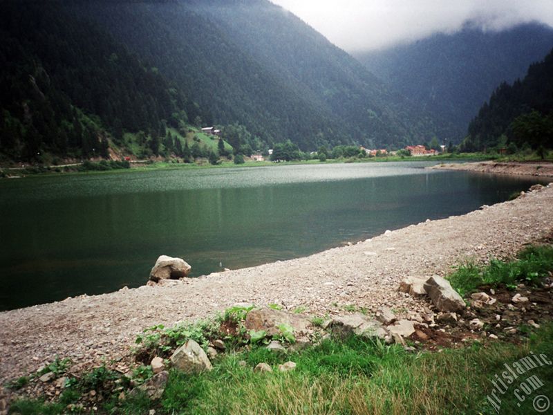 Trabzon Uzungl Yaylas`ndan bir manzara.
