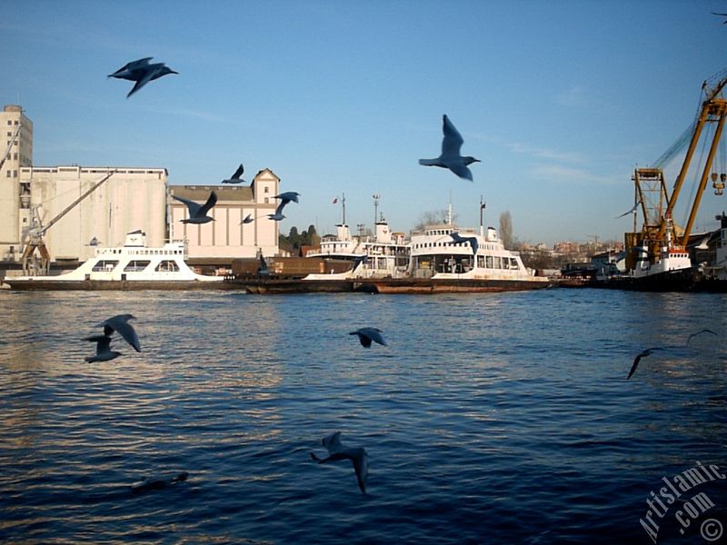 Denizden Haydarpaa iskelesinin yanndan bir grn.
