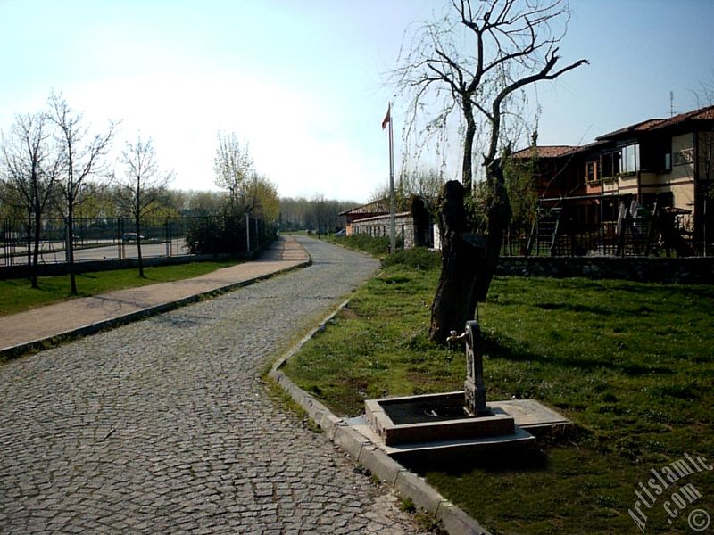 Bursa Botanik Parkndan bir manzara.
