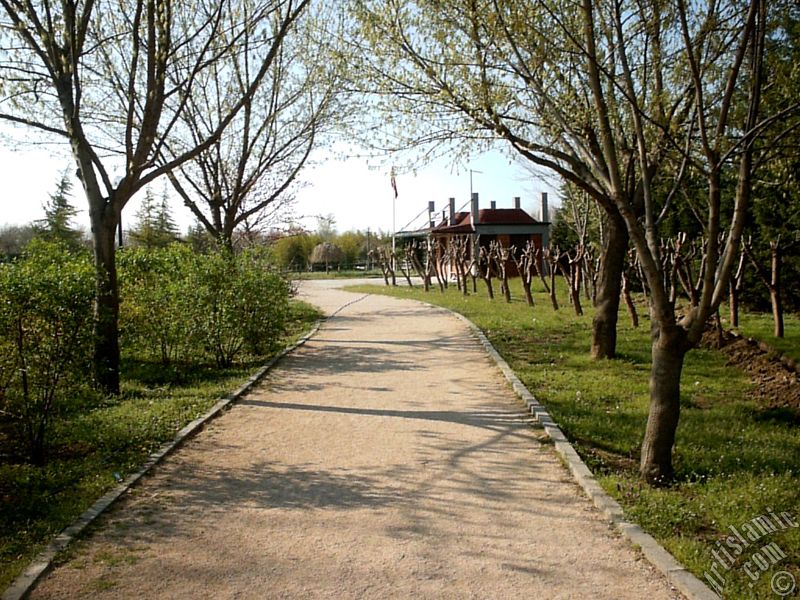 Bursa Botanik Parkndan bir manzara.
