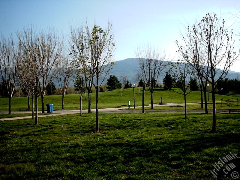 Bursa Botanik Parkndan bir manzara.
