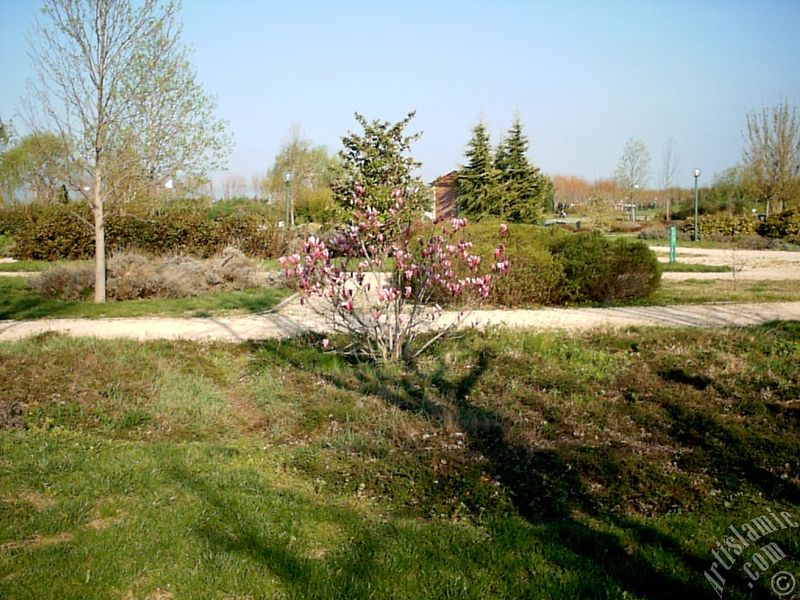 View of Botanical Park in Bursa city of Turkey.
