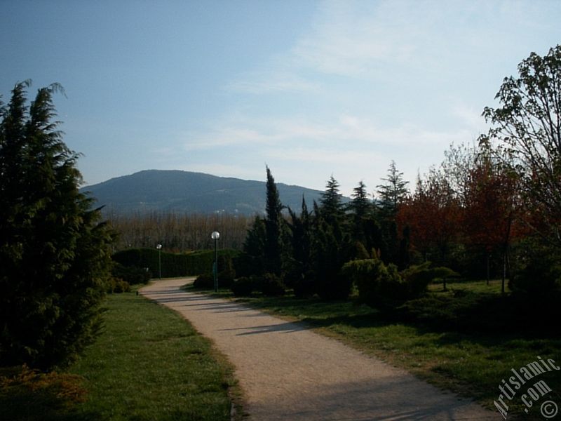 View of Botanical Park in Bursa city of Turkey.
