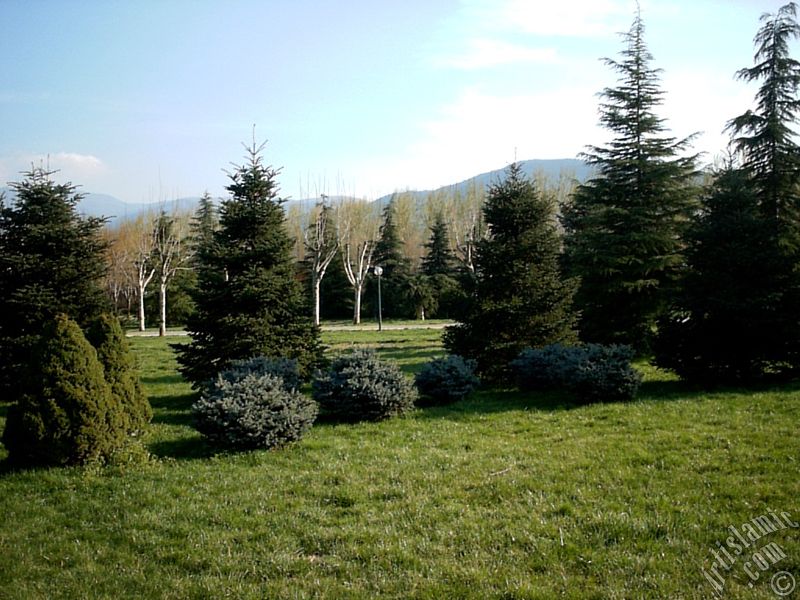 Bursa Botanik Parkndan bir manzara.
