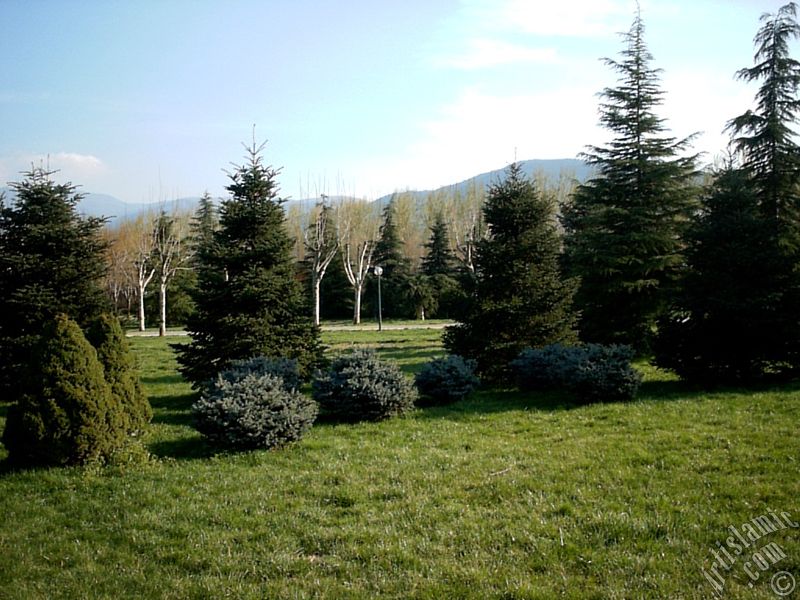 Bursa Botanik Parkndan bir manzara.
