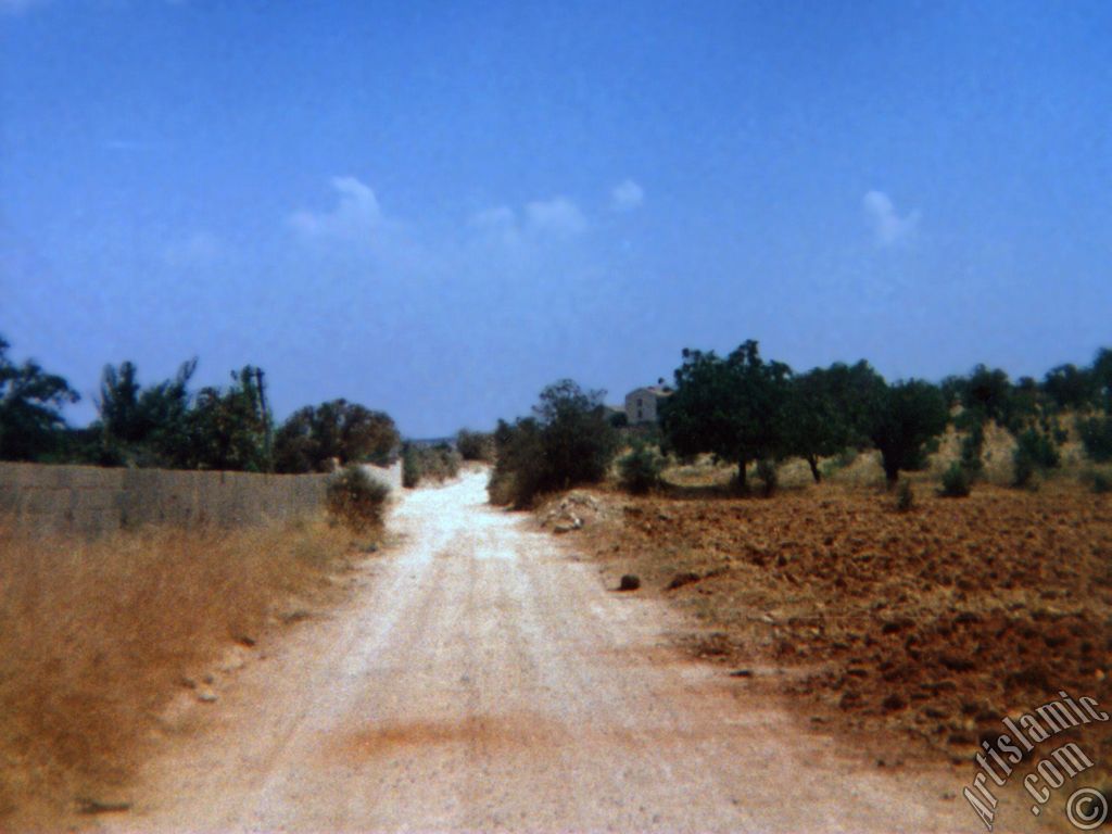 View of a village`s way in Gaziantep city of Turkey.
