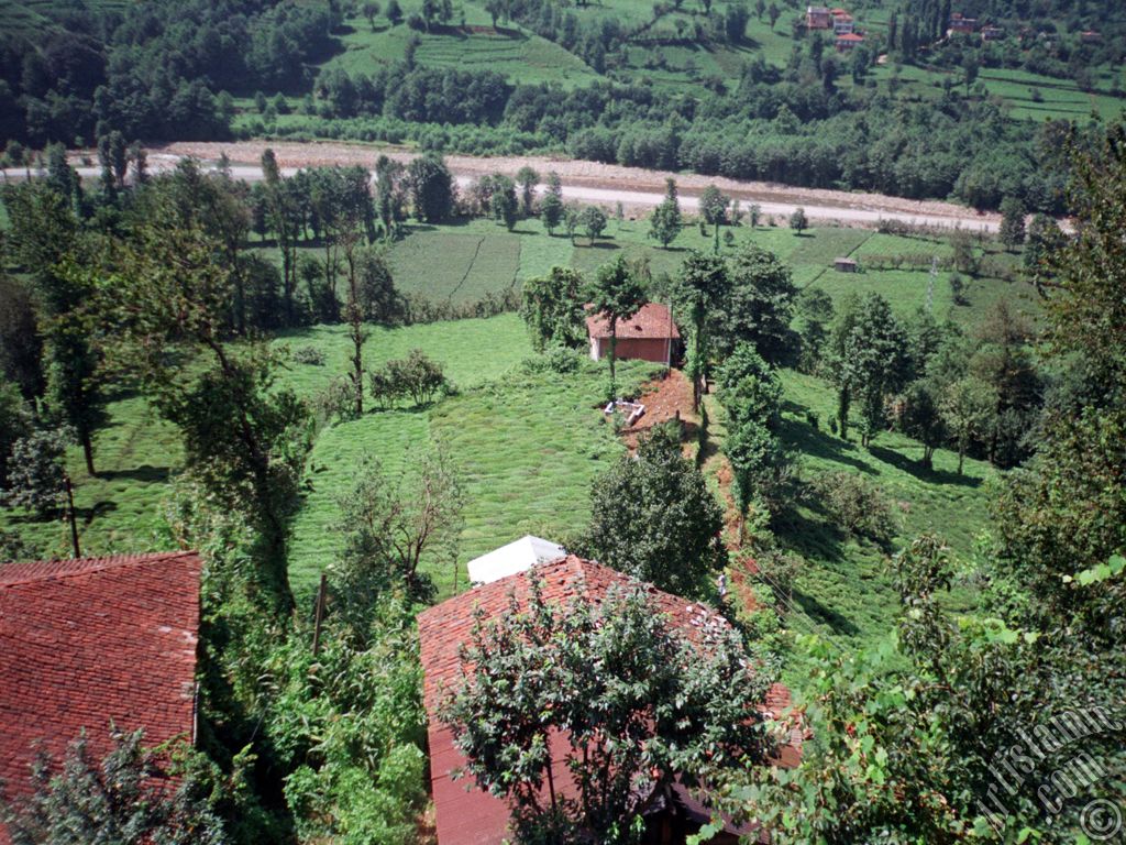 Trabzon`a bal Of ilemizden bir ky manzaras.
