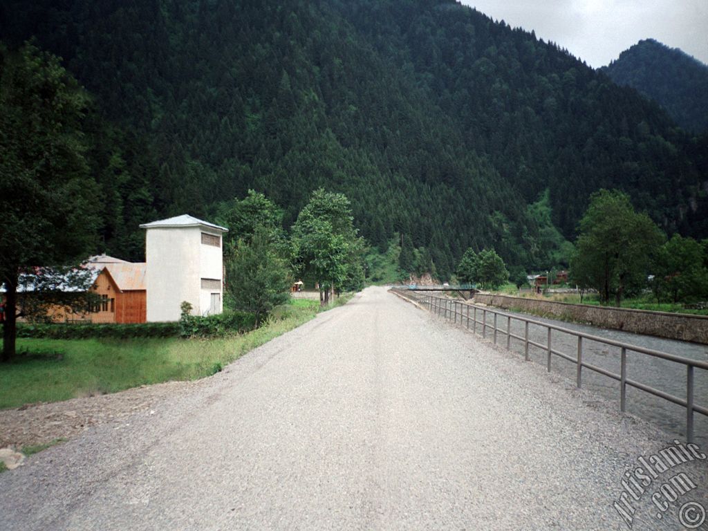 Trabzon Uzungl Yaylas`ndan bir manzara.
