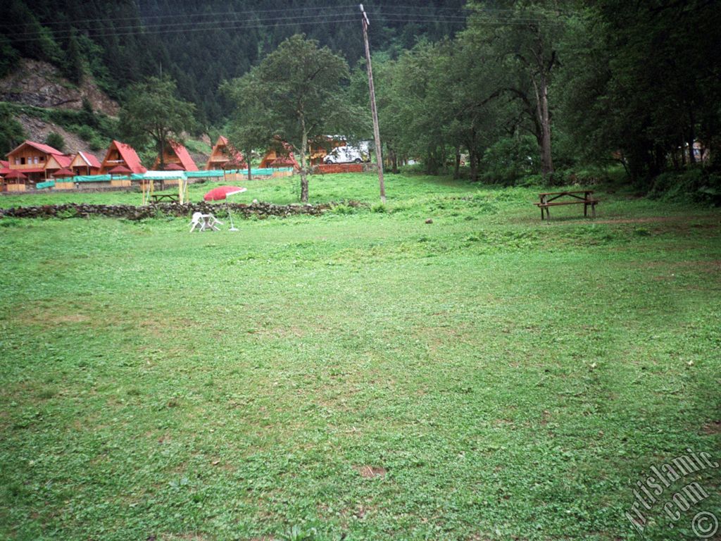 Trabzon Uzungl Yaylas`ndan bir manzara.
