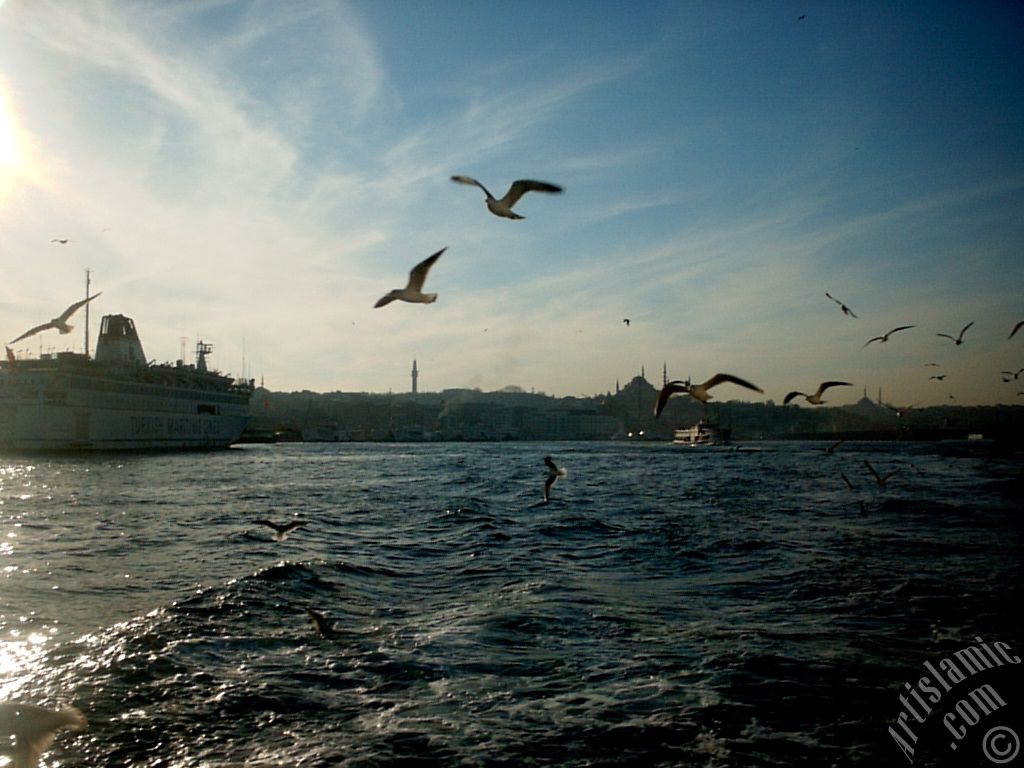 Sarayburnu sahilinden Eminn, Beyazt Kulesi, Sleymaniye ve Fatih Camilerine bak.
