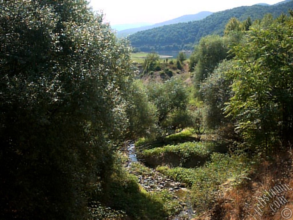 View of Termal-Gokcedere Village in Yalova city of Turkey.
