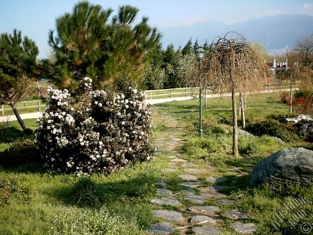 Bursa Botanik Parkndan bir manzara.
