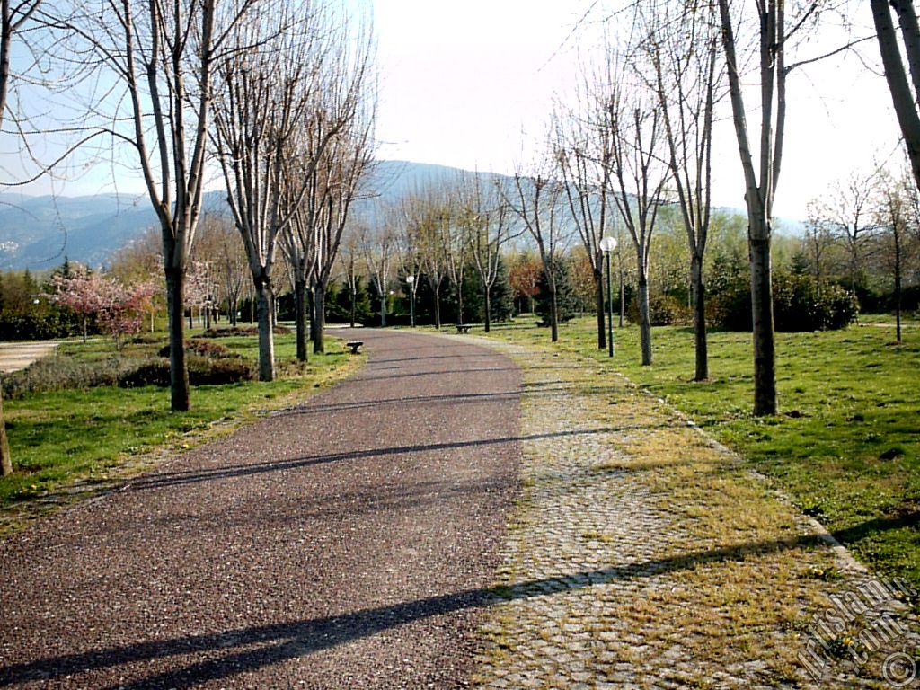 Bursa Botanik Parkndan bir manzara.
