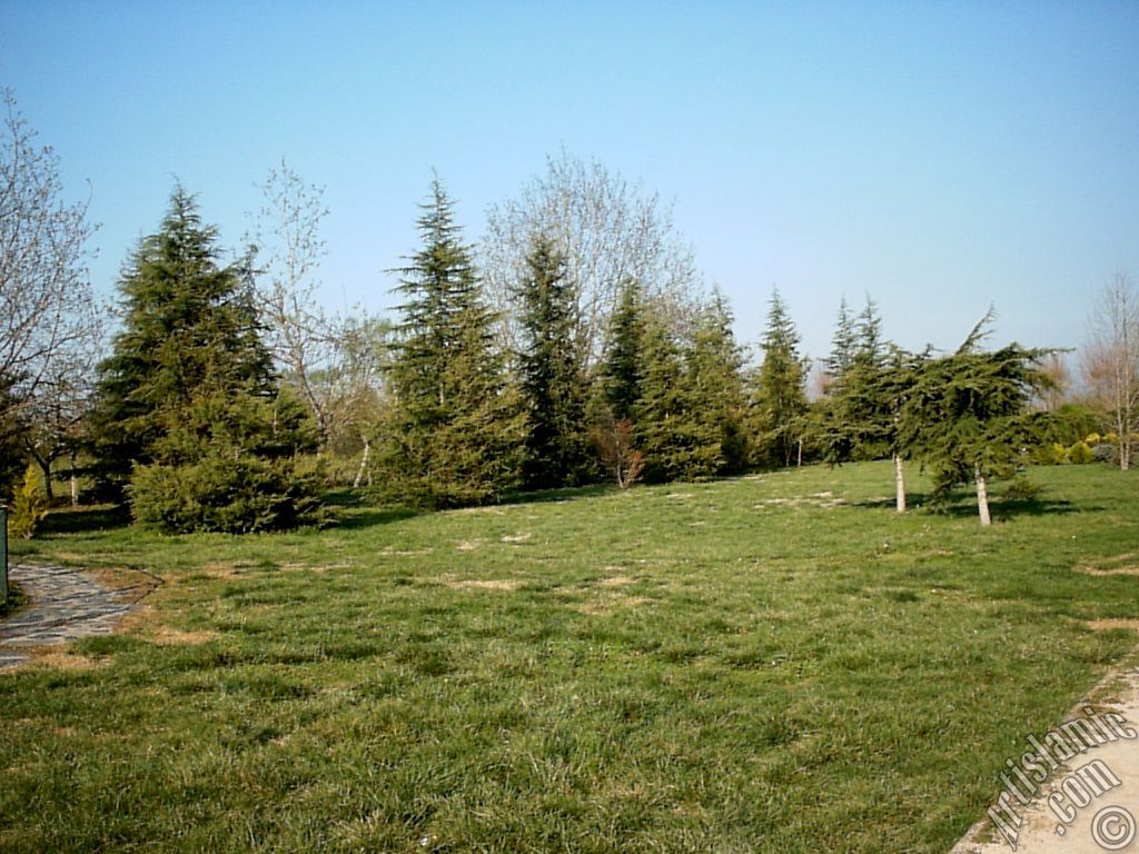 View of Botanical Park in Bursa city of Turkey.
