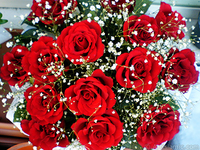 Red rose photo. <i>(Family: Rosaceae, Species: Rosa)</i> <br>Photo Date: April 2007, Location: Turkey/Istanbul, By: Artislamic.com