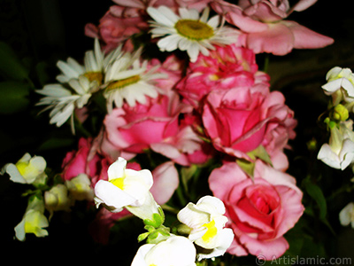 A bouquet consisting of rose, daisy and snapdragon flowers. <br>Photo Date: June 2007, Location: Turkey/Sakarya, By: Artislamic.com