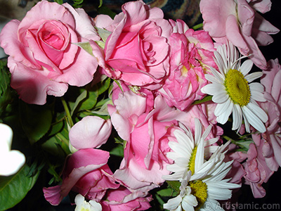 A bouquet consisting of rose, daisy and snapdragon flowers. <br>Photo Date: June 2007, Location: Turkey/Sakarya, By: Artislamic.com