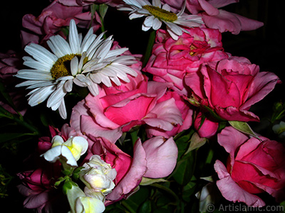 A bouquet consisting of rose, daisy and snapdragon flowers. <br>Photo Date: June 2007, Location: Turkey/Sakarya, By: Artislamic.com