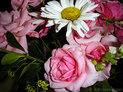 A bouquet consisting of rose, daisy and snapdragon flowers. <br>Photo Date: June 2007, Location: Turkey/Sakarya, By: Artislamic.com