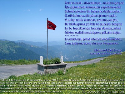 islamiSanat.net tarafndan anakkale Sava ve anakkale Zaferi`nin yldnm mnasebetiyle yaplm bir alma. almann arka plannda Trabzon ili aykara ilesine bal 2000 metre rakml Sultan Murat Yaylas`nda Ruslar tarafndan 1916 ylnda ehit edilmi bir askere ait mezarn fotoraf yer almaktadr. Bu vesile ile btn ehitlerimizi rahmetle anyoruz. ( islamiSanat.net. Bu eserin her hakk sakldr, ticari maksatla kullanlmas yasaktr.)