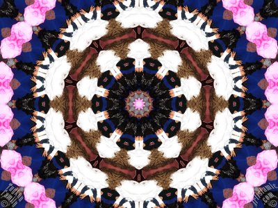 An Artwork From `The Exhibition of Mixed Arabesque, Fractal, Kaleidoscope, Spirograph, Spiral-Swirling Pattern, Symmetrical Design and Mandala Motifs`. (The artworks were made by The Tuykun Sisters who are from the visitors and fans of Artislamic.com. All rights reserved.)